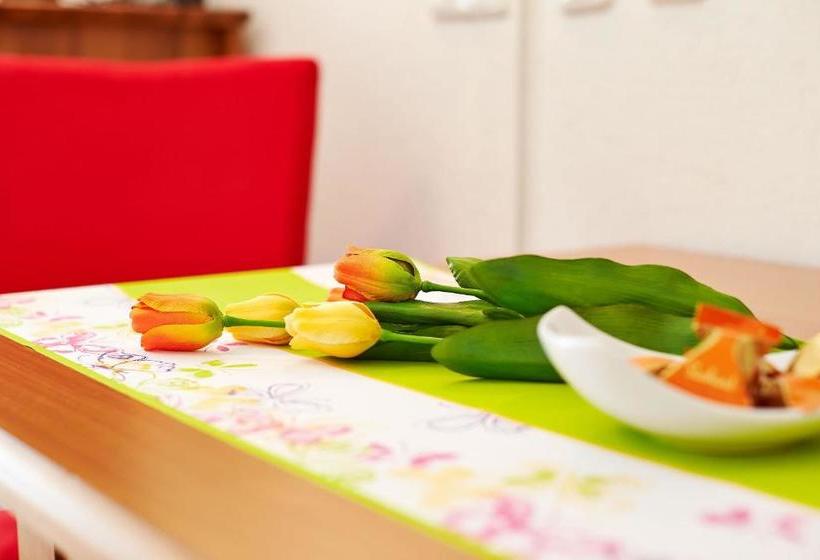 هتل Skylounge Mayrhofen