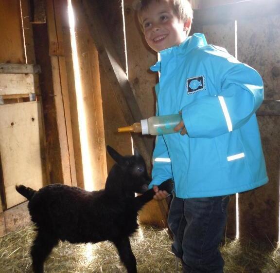 בית מלון כפרי Steinbachgut