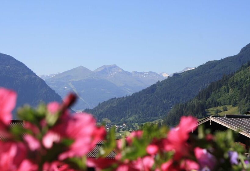 فندق Tobhartbauer