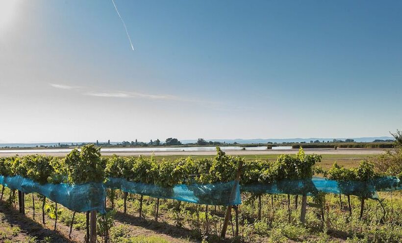 Отель Wein & Landhaus Willi Opitz