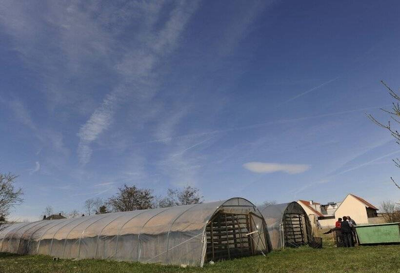 Отель Wein & Landhaus Willi Opitz