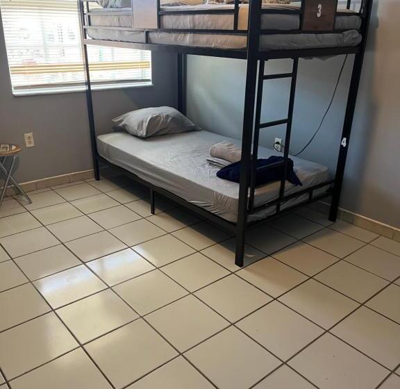 Общежитие Beds & Sheets Little Havana