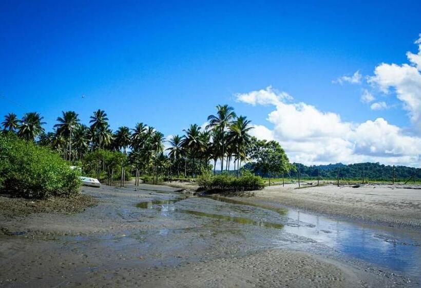 הוסטל Hostal Té De Menta