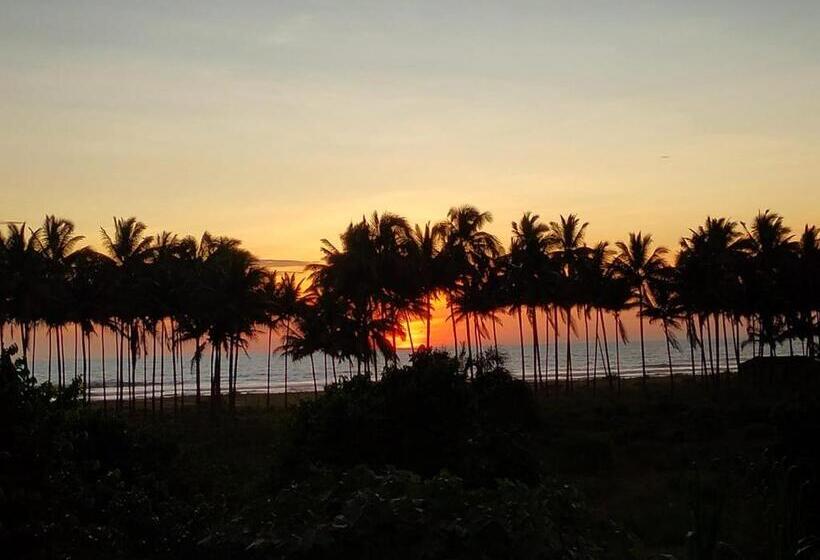 הוסטל Hostal Té De Menta