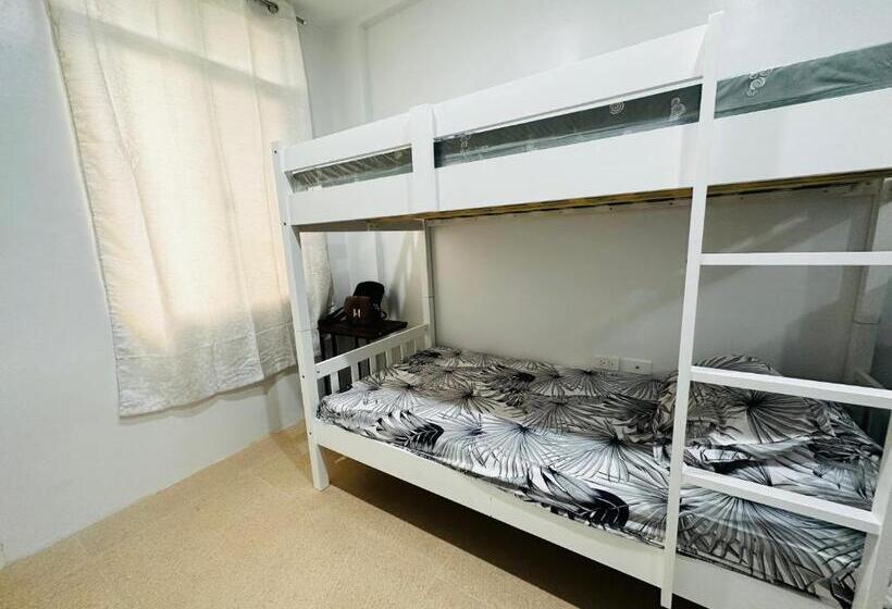 هاستل Patrick’s Haven