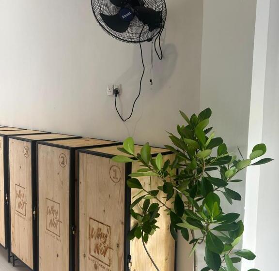 호스텔 Why Not Mansion