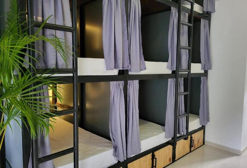 호스텔 Why Not Mansion