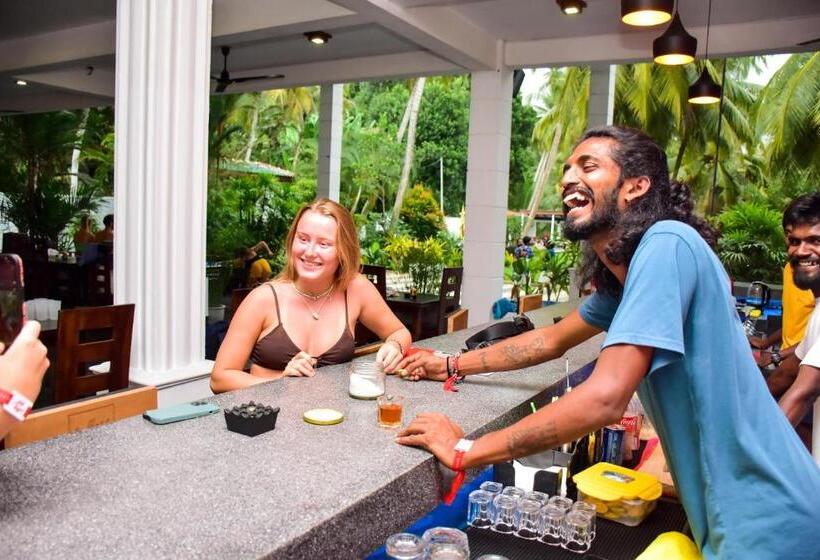 호스텔 Why Not Mansion