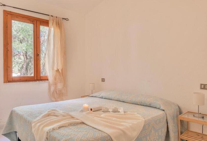 Apartments With Air Conditioning And Private Outdoor Area In The Center Of San Teodoro