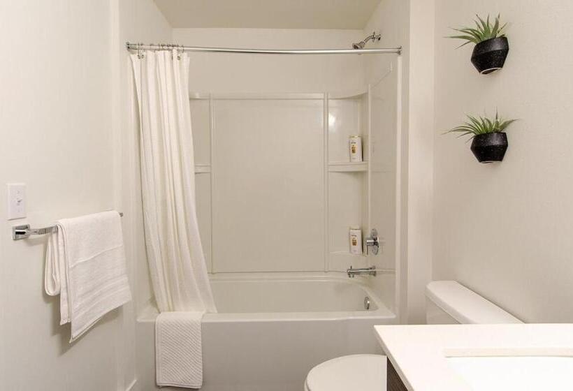 Balcony,gym,rooftop Grill,terrace, Kingbed, 4k Tv