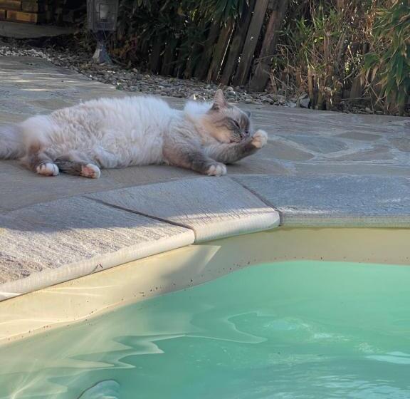 住宿加早餐  Carpediem Corsica