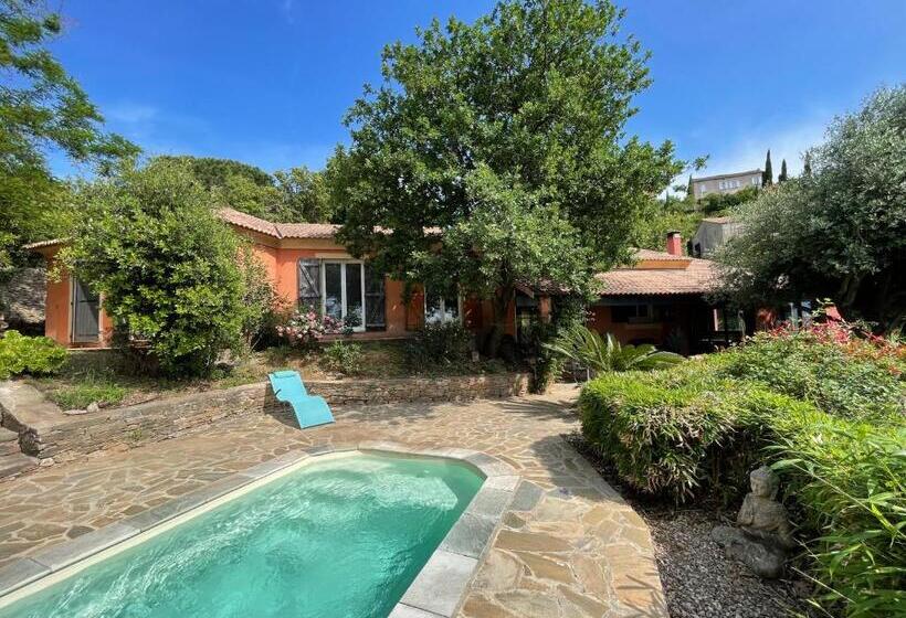 住宿加早餐  Carpediem Corsica