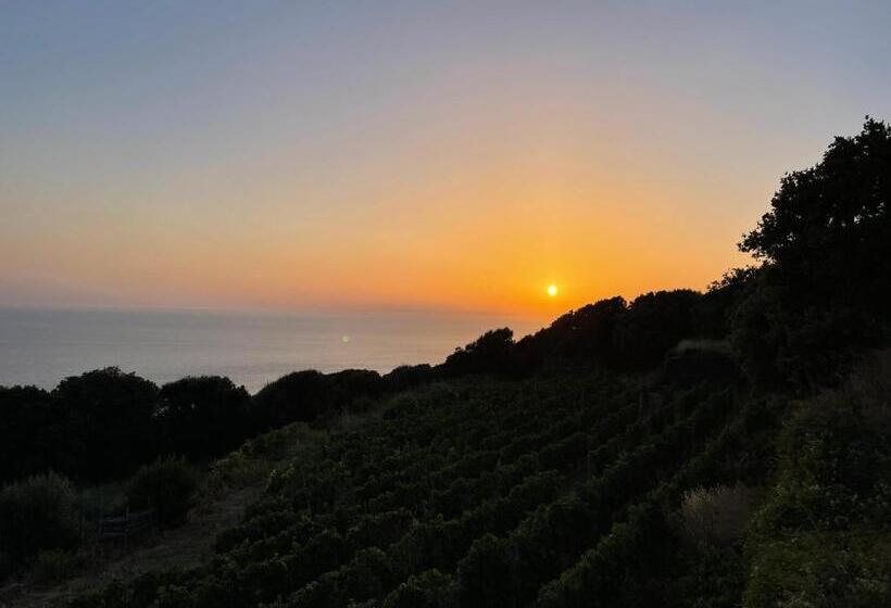 住宿加早餐  Carpediem Corsica