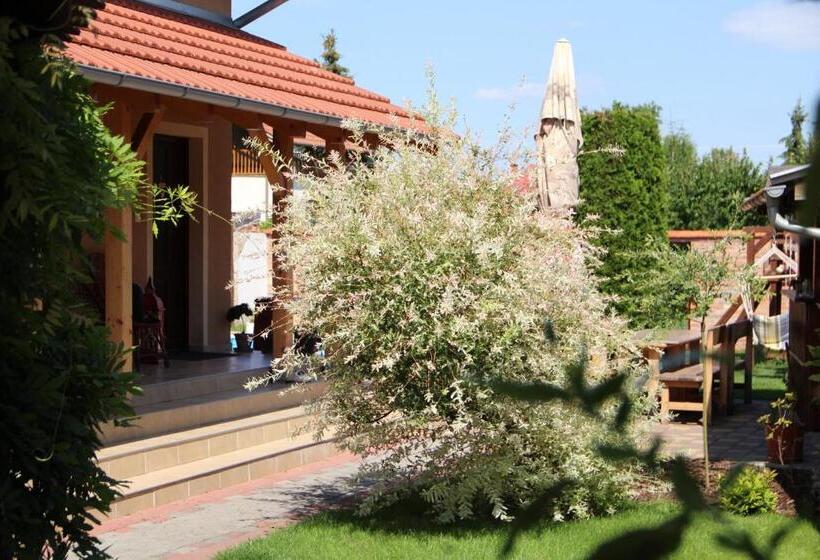 Bed and Breakfast Penzion Dori