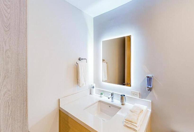 Cardinal Living San Jose Del Cabo D 301