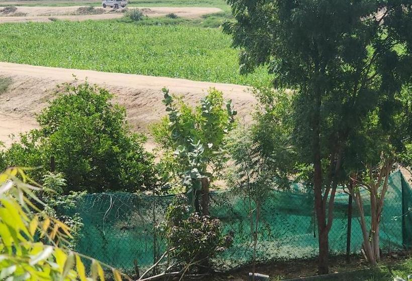 Отель Bostan Farm