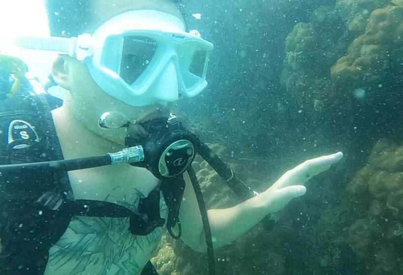 فندق Dreamer Of The Sea