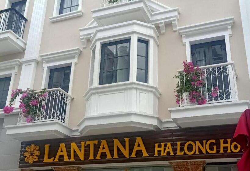 هتل Khách Sạn Lantana Hạ Long