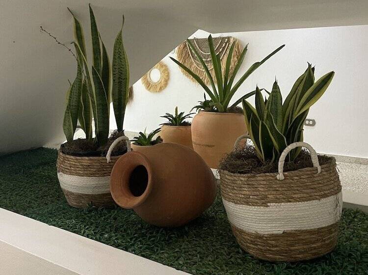 בית מלון כפרי Montesilva