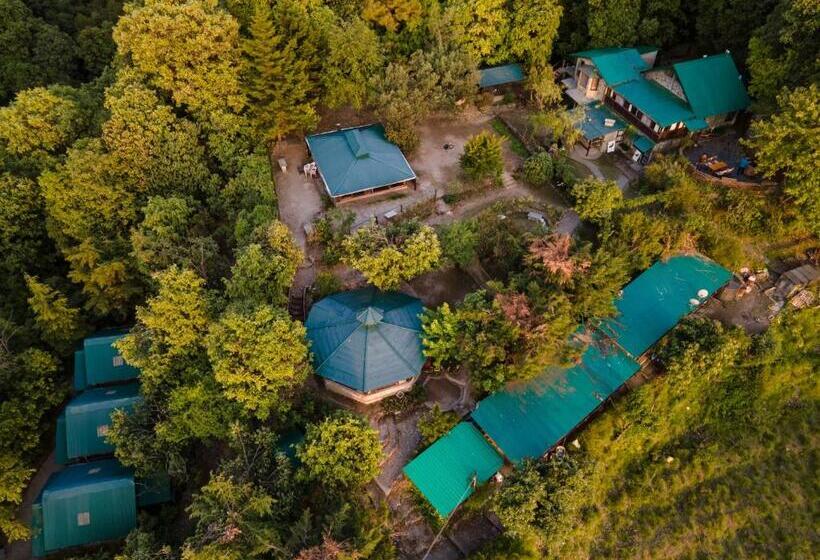 酒店 Mountain Quail Lodge