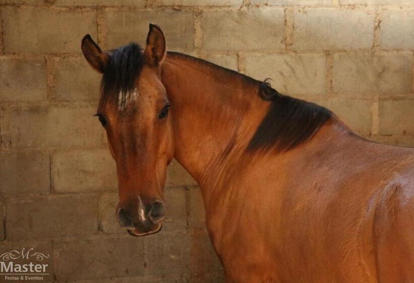 ホテル Pousada Nascente Das Aguas