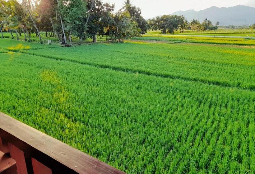 בית מלון כפרי Puri Lestari Official