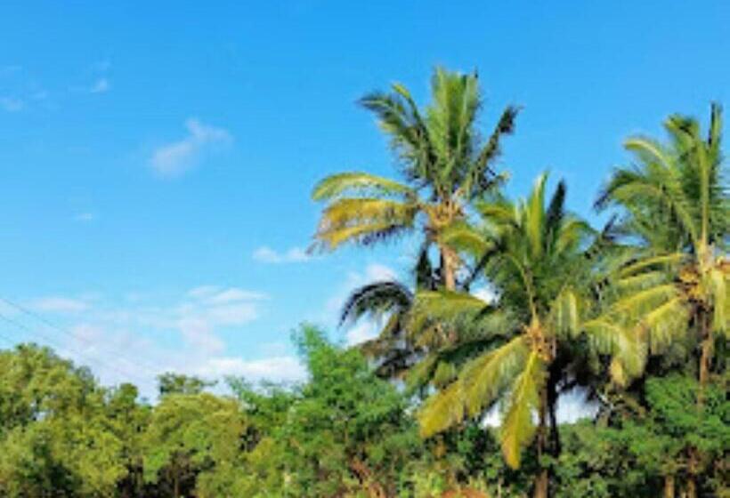 Hotel Rehoboth Resort, Malvan