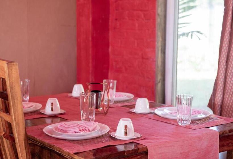 בית מלון כפרי Shalom Corbett’s Hillside Hideaway