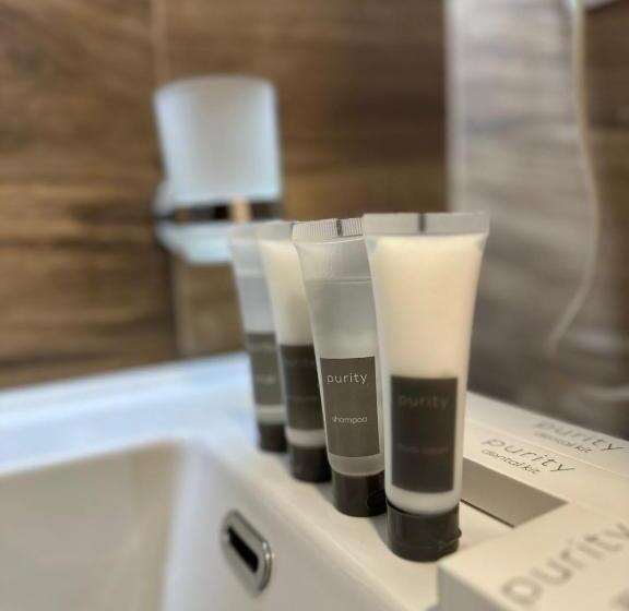 בית מלון כפרי Vila Lordev