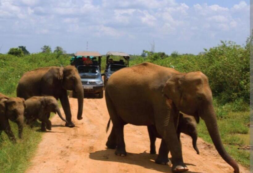 בית מלון כפרי White House Udawalawe