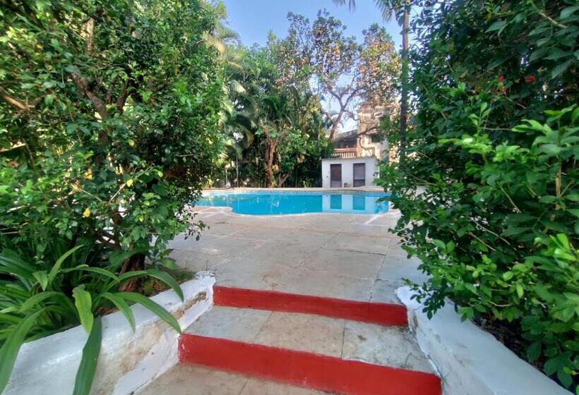 Opulence Boutique Resort, Alibaug