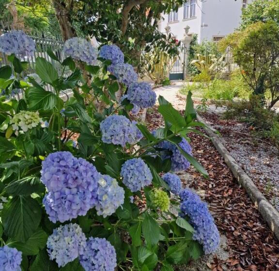 Palace Hotel De Midões