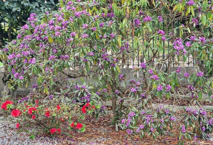 Palace Hotel De Midões