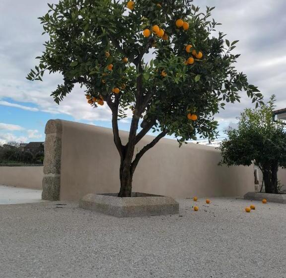 Palace Hotel De Midões