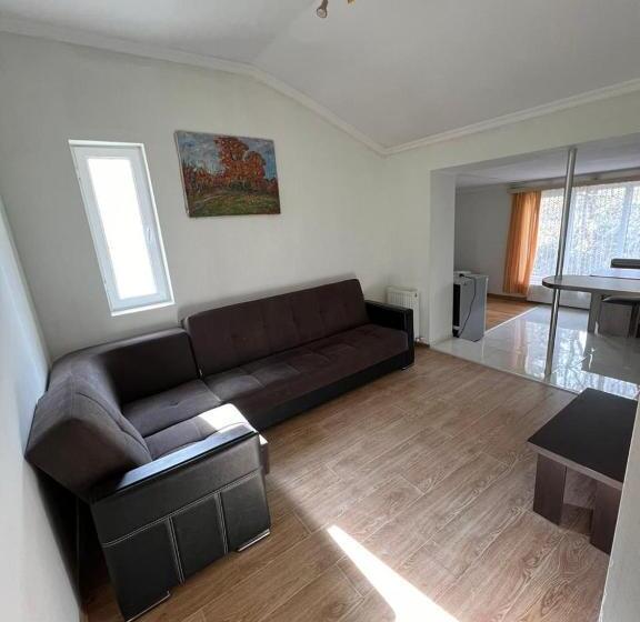 پانسیون Bakuriani Cozy Guesthouse