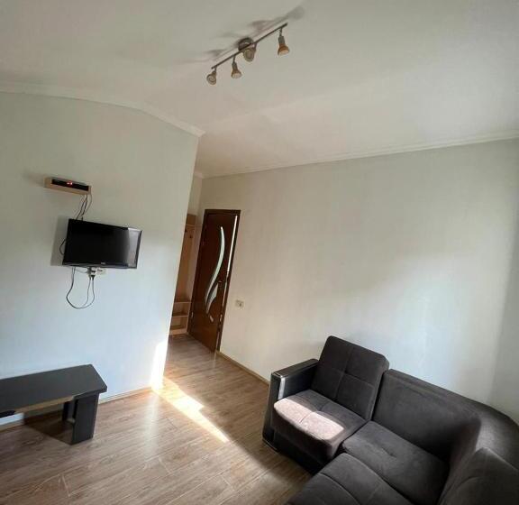 پانسیون Bakuriani Cozy Guesthouse