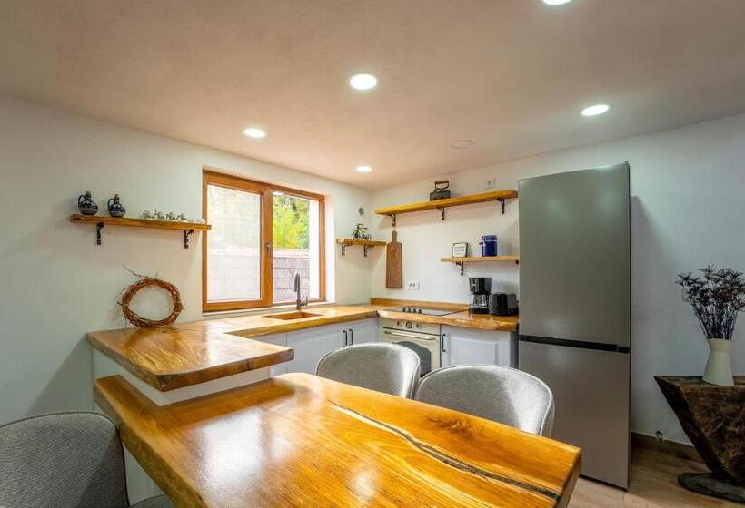 Пансион Casa Maya Transilvania