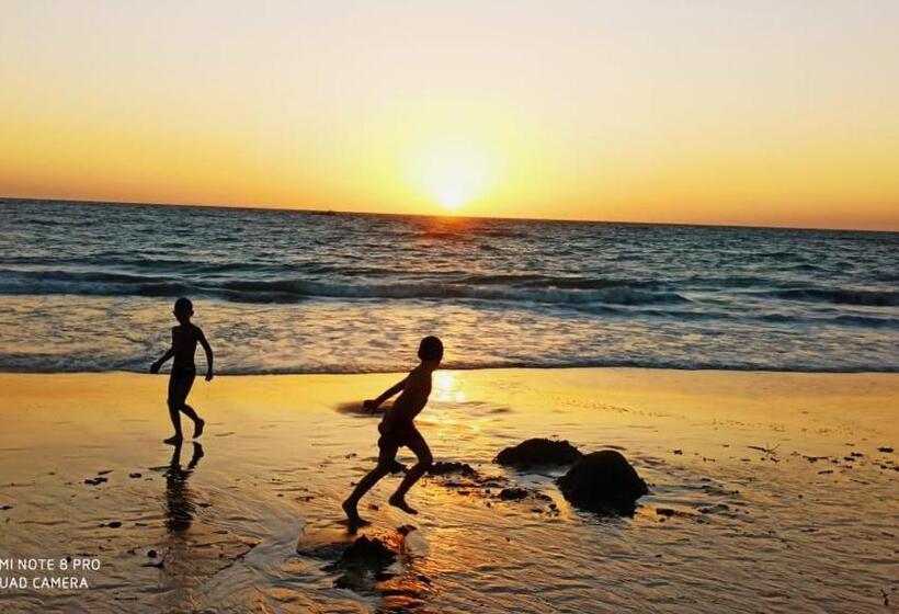 Пансион Chelsea Inn