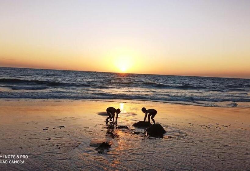 ペンション Chelsea Inn