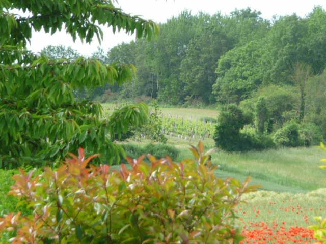 פנסיון Les Coteaux De Vigny