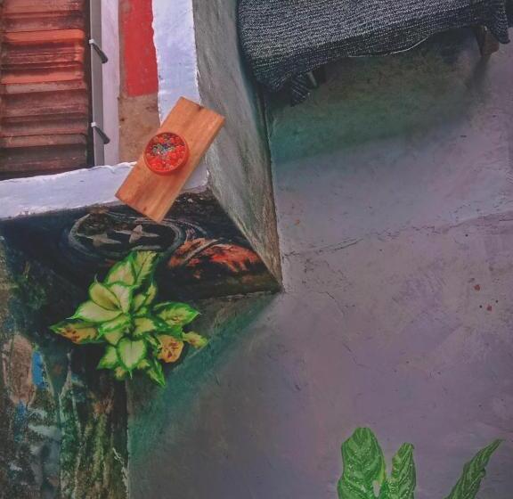 膳宿费 Sandaru Wave Surfing