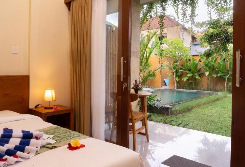 פנסיון Tiny S House