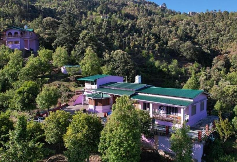 פנסיון Village View Resort 