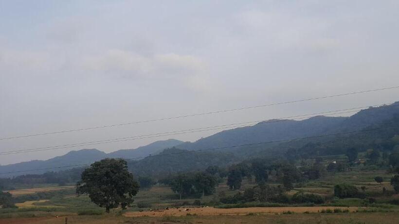 리조트 Olive Gardens