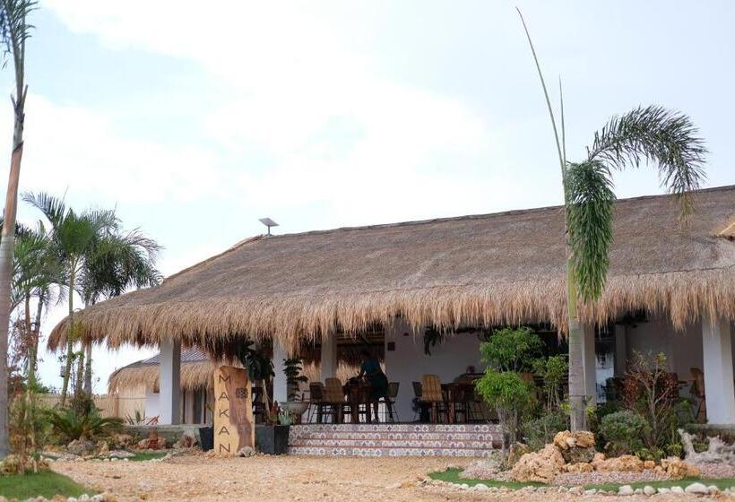 渡假胜地  Solimar Seaside Cabanas