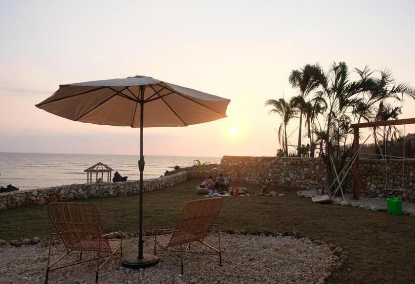 渡假胜地  Solimar Seaside Cabanas