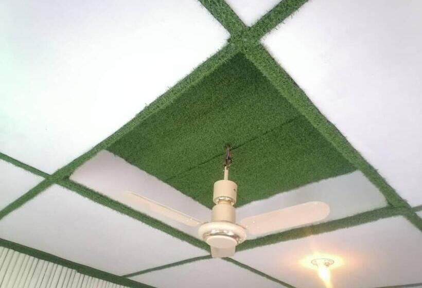 هاستل A Stay On River