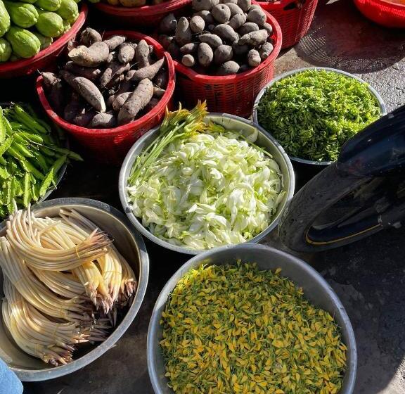 هاستل Mekong Delta Official