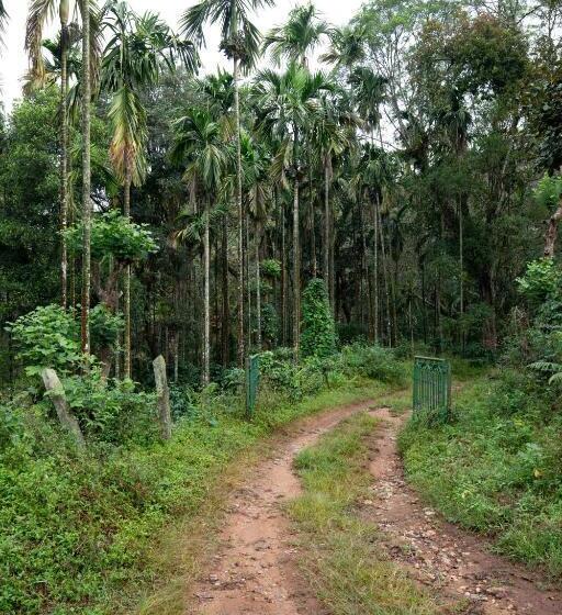 旅馆 Espresso Escape By Jadecaps 3bhk Chikamagalur