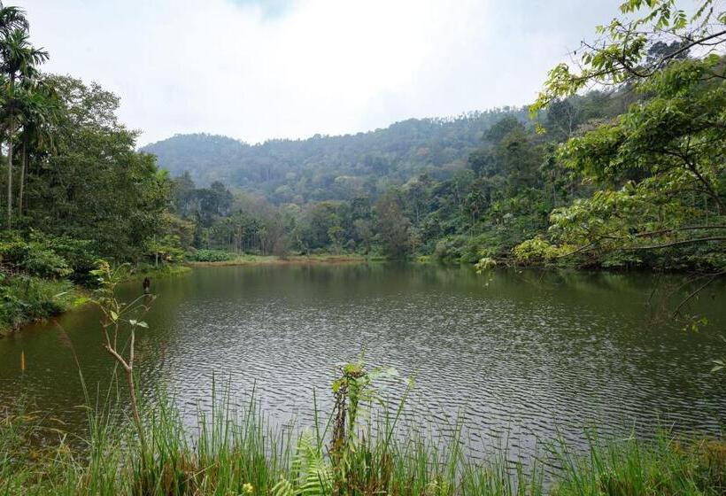 הוסטל Espresso Escape By Jadecaps 3bhk Chikamagalur